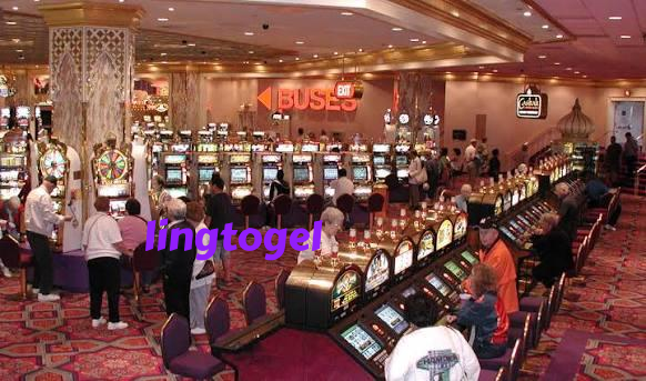 lingtogel Live Game Shows at lingtogel
